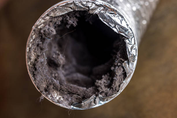 Best HVAC System Cleaning  in Spring Valley, IL